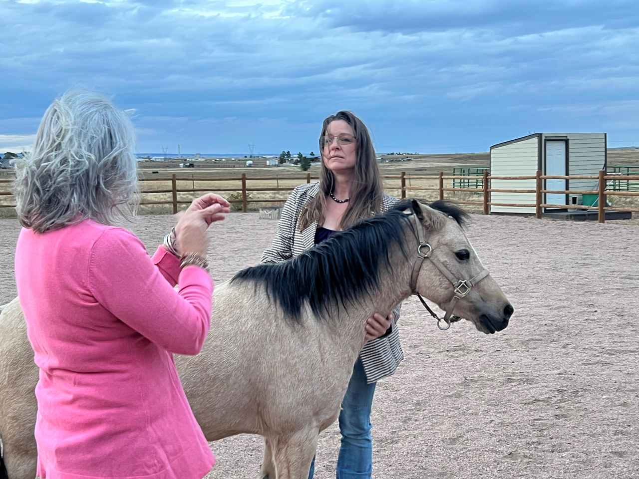 Amy, owner of Whole Heart Ranch in Wellington, Colorado explains how horses help therapeutically to a member of Northern Colorado Community