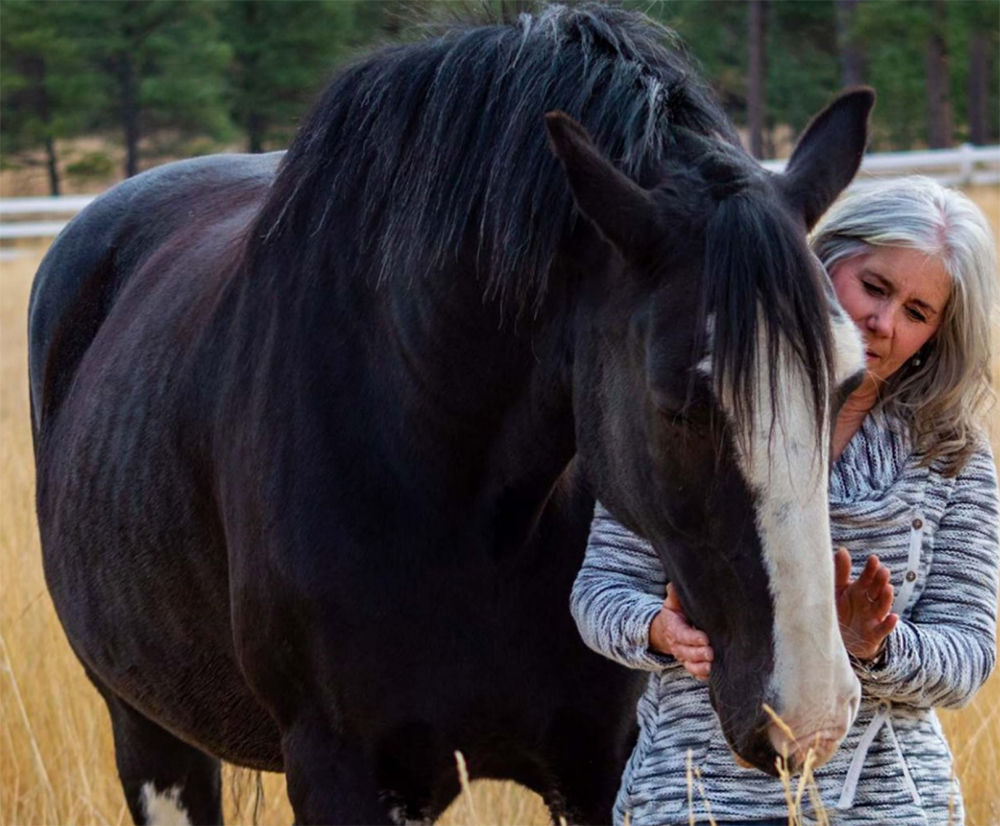 Amy at Whole Heart Ranch